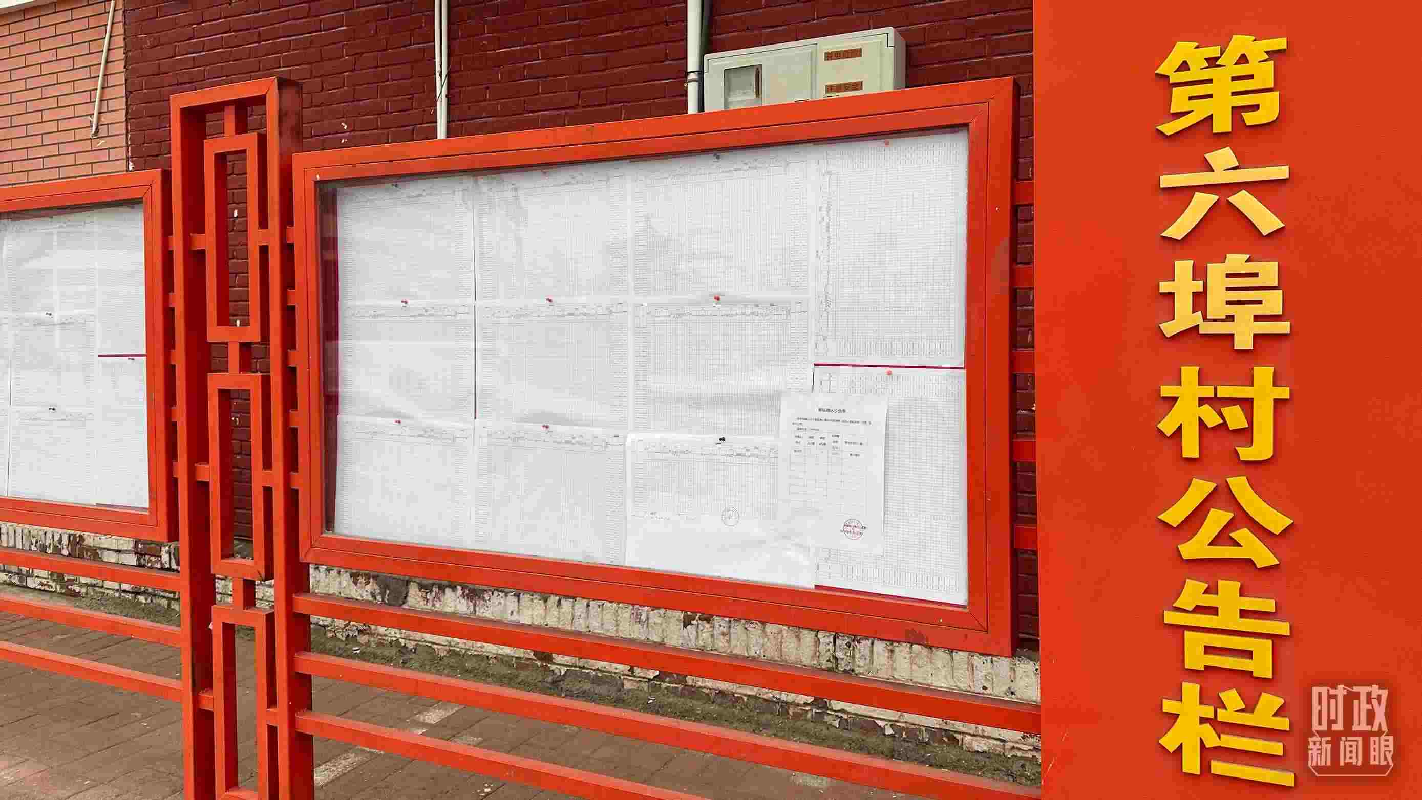 △第六埠村公告欄里張貼著“天津市2023年蓄滯洪區(qū)農(nóng)作物、經(jīng)濟(jì)林補(bǔ)償標(biāo)準(zhǔn)表”等。（總臺(tái)央視記者覃思拍攝）