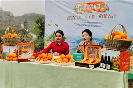 2021年2月26日，在重慶渝北區(qū)大盛鎮(zhèn)青龍村舉辦的直播活動(dòng)現(xiàn)場。