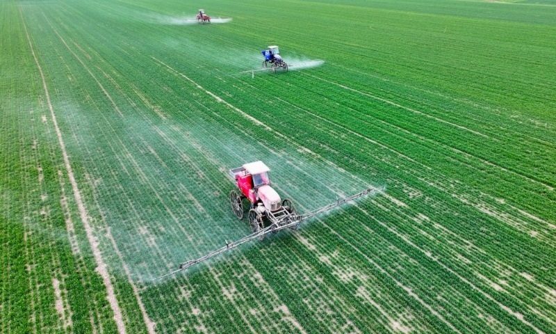 2024年2月18日，安徽省亳州市，利辛縣紀王場鄉(xiāng)孫老家村麥田，農(nóng)民駕駛自走式高桿噴霧機對小麥進行噴藥作業(yè)。