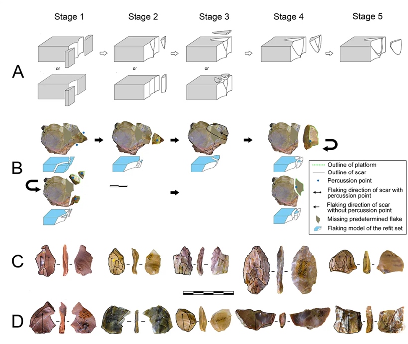 岑家灣遺址“準(zhǔn)備石核技術(shù)”及相關(guān)石制品。（受訪單位供圖）