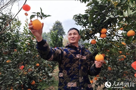 鐵牛村村民趙光進(jìn)。人民網(wǎng)記者 朱虹攝