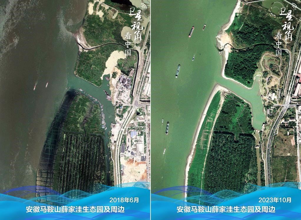 經過整治后的安徽馬鞍山薛家洼生態(tài)園生機盎然。