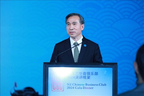 中國貿(mào)促會任鴻斌會長。主辦方供圖