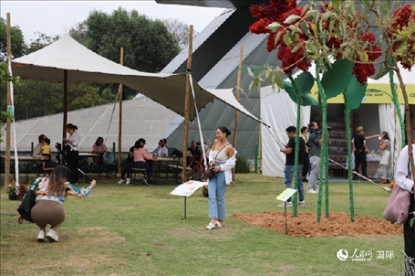 坎波·馬特活動(dòng)現(xiàn)場。埃內(nèi)斯托·多明戈斯攝