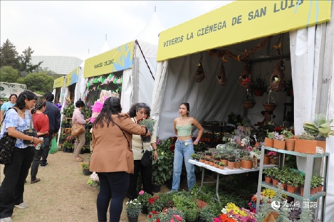 坎波·馬特活動(dòng)現(xiàn)場。埃內(nèi)斯托·多明戈斯攝