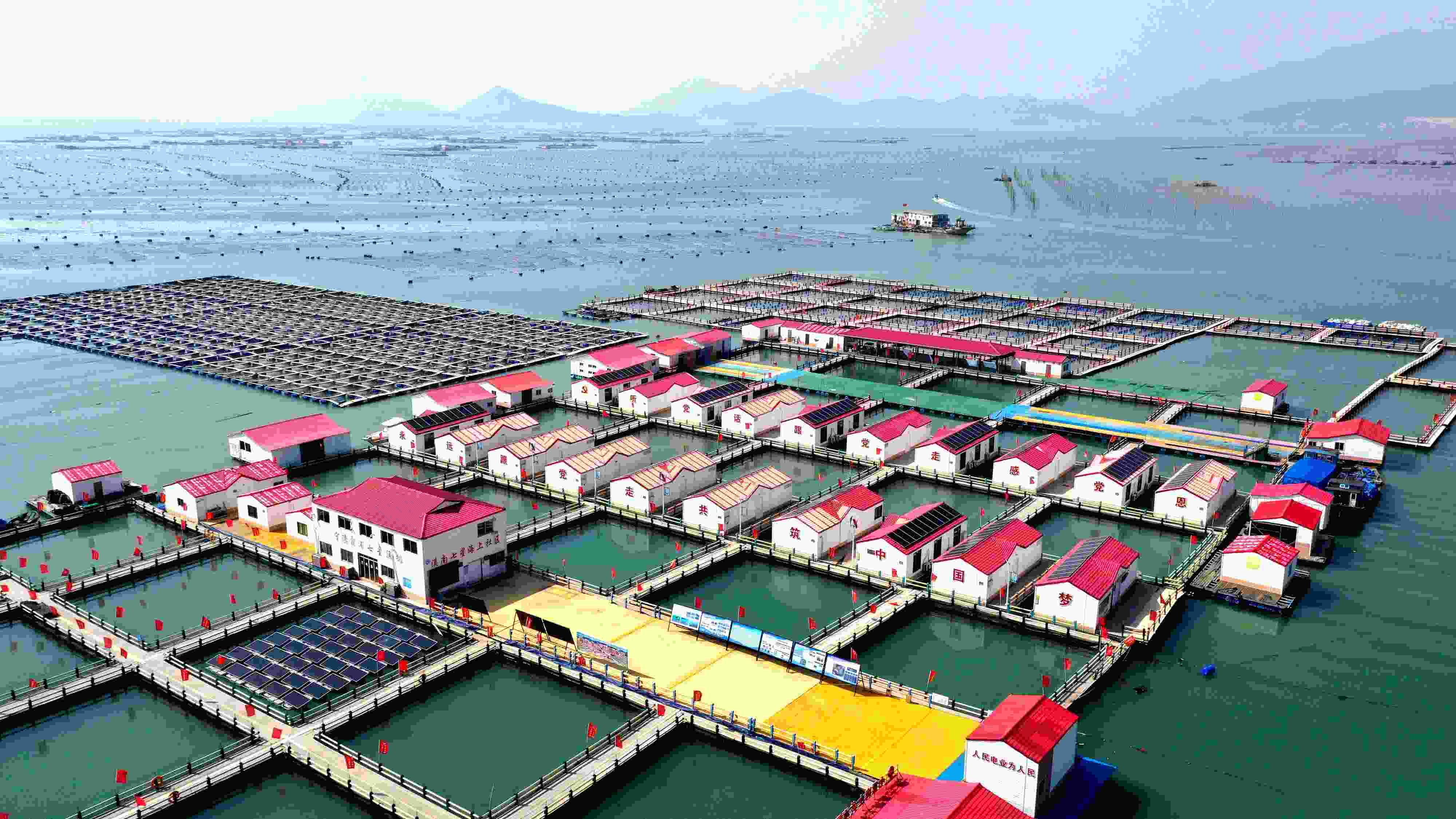 2024年3月20日，福建省寧德市，霞浦縣溪南鎮(zhèn)七星村漁排養(yǎng)殖示范區(qū)，漁民駕駛養(yǎng)殖船進(jìn)行海參養(yǎng)殖作業(yè)。