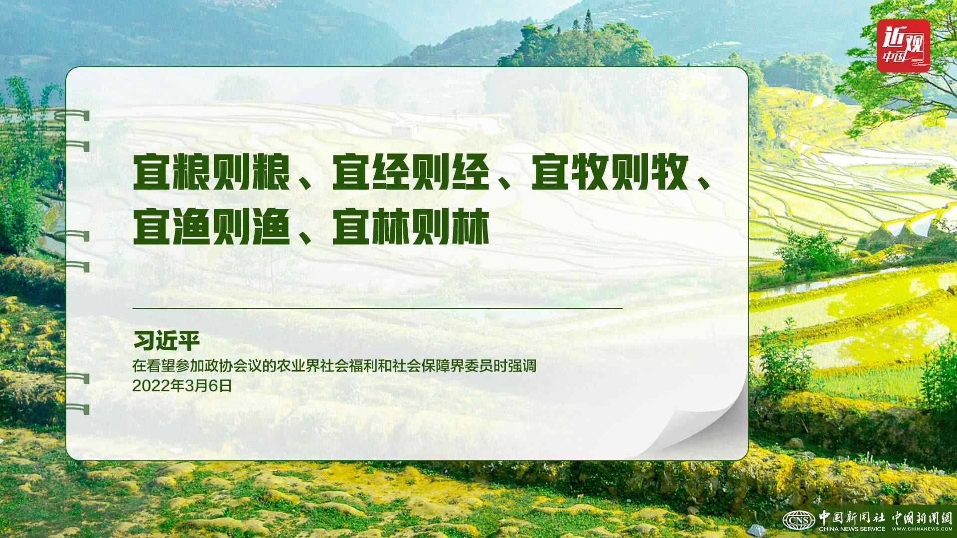 習(xí)近平：樹(shù)立大食物觀，構(gòu)建多元化食物供給體系