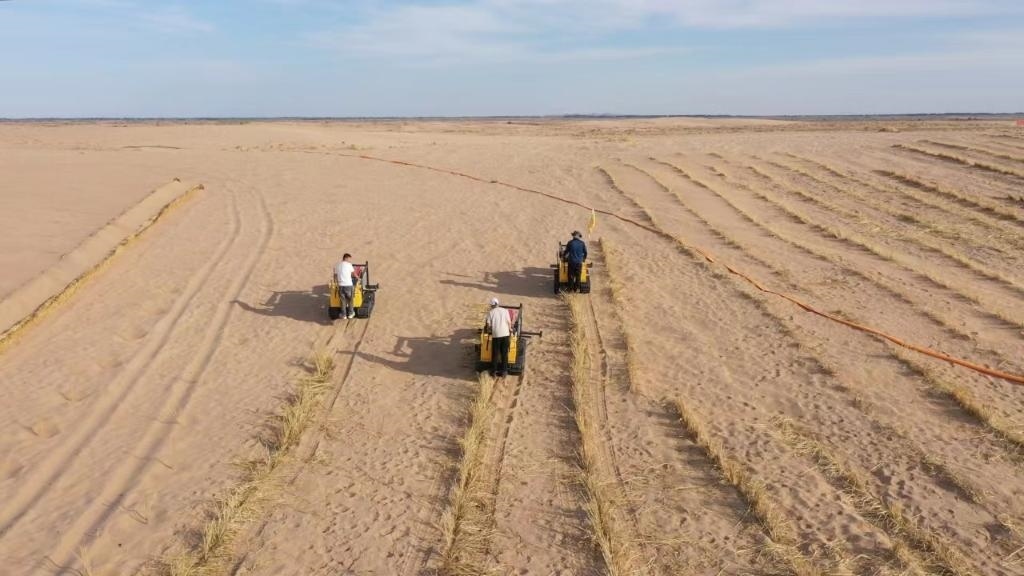 內(nèi)蒙古巴彥淖爾市烏拉特后旗西補(bǔ)隆林業(yè)管護(hù)中心職工駕駛機(jī)械鋪設(shè)壓沙障。新華社記者 李云平 攝