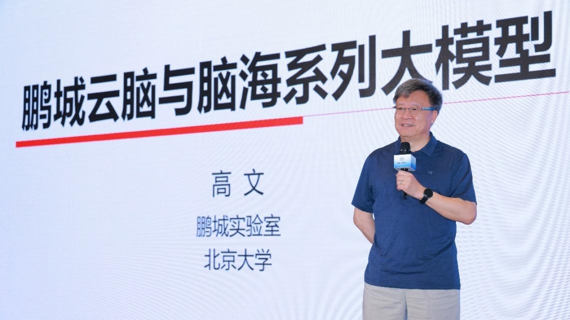 高文院士做大會特邀報告。主辦方供圖