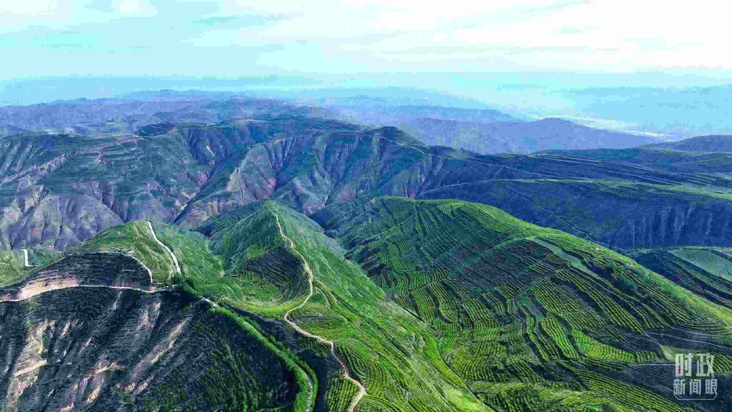 △青海西寧。（總臺記者柳成拍攝）