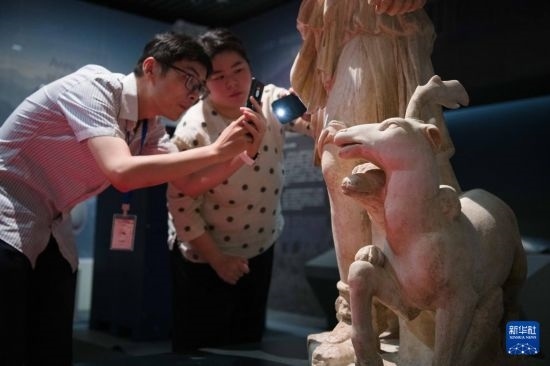 7月2日，安徽博物院工作人員在拍攝開箱后的古希臘文物。新華社記者 張端 攝