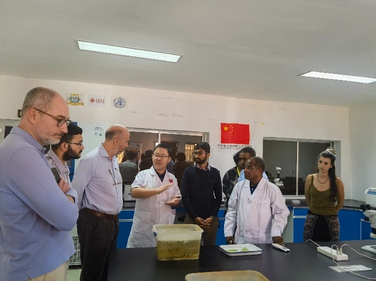 活動現(xiàn)場。專家組供圖