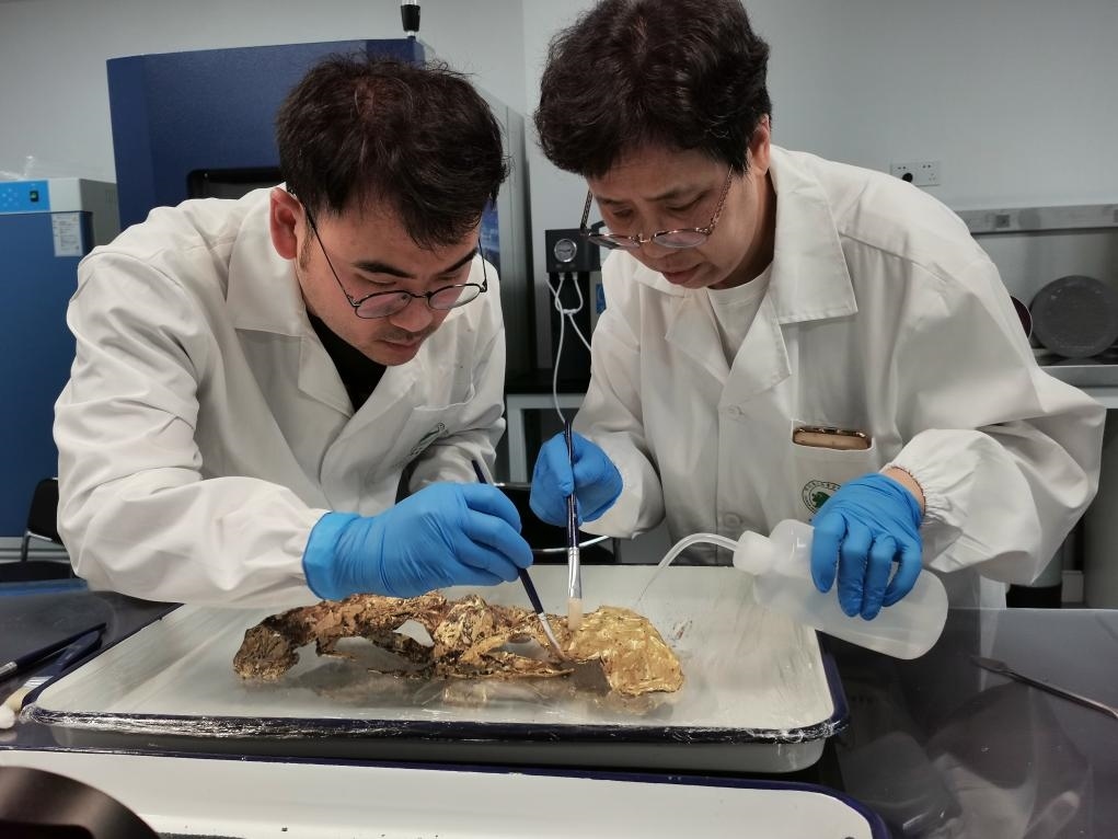 2023年7月，馬燕如（右）帶著魯海子（左）修復(fù)三星堆遺址出土的黃金面具。新華社發(fā)（四川省文物考古研究院供圖）