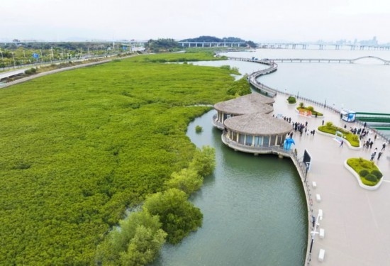 2024年1月23日拍攝的廈門市翔安區(qū)下潭尾紅樹林公園（無(wú)人機(jī)照片）。新華社記者 林善傳 攝