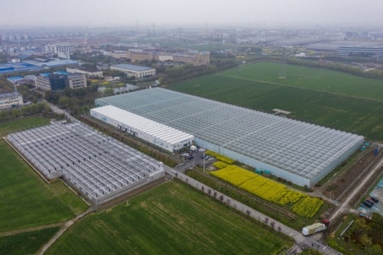 2024年3月28日，空中俯瞰嘉興南湖區(qū)湘家蕩農(nóng)業(yè)數(shù)字化工廠（無(wú)人機(jī)照片）。該農(nóng)業(yè)數(shù)字化工廠占地總面積約62畝，包含智慧農(nóng)業(yè)生產(chǎn)、物聯(lián)網(wǎng)智能管理、自動(dòng)分揀包裝、保鮮儲(chǔ)藏物流、高科技示范展示等五大功能區(qū)，可直接或間接培養(yǎng)帶動(dòng)新型職業(yè)技術(shù)農(nóng)民500人以上。新華社記者 徐昱 攝