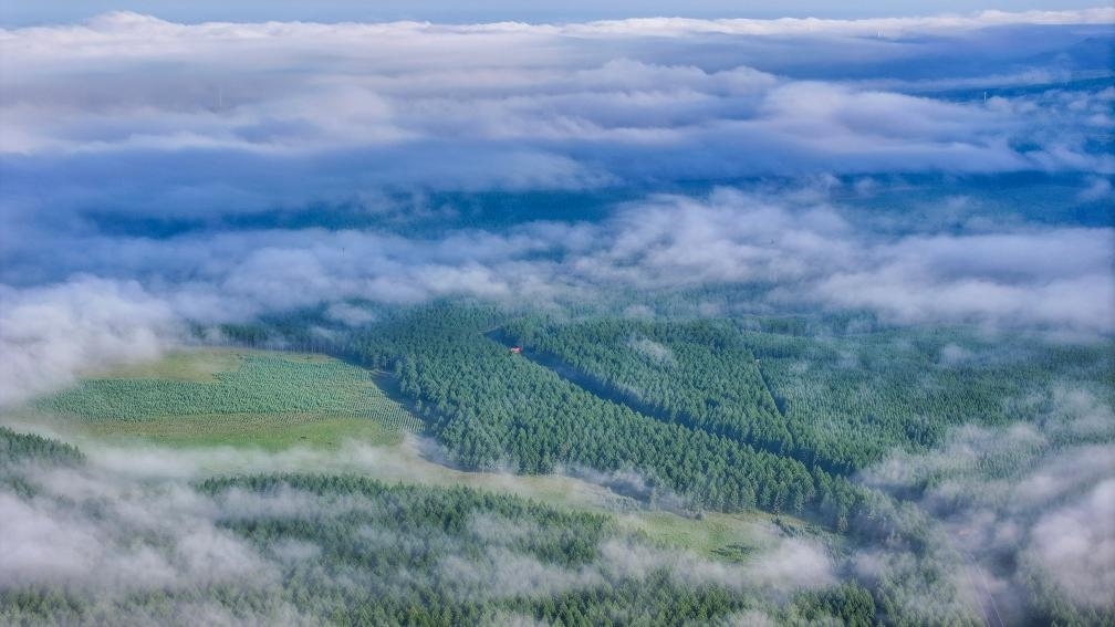 2024年7月26日拍攝的塞罕壩國家級自然保護(hù)區(qū)景色。新華社發(fā)（劉滿倉 攝）