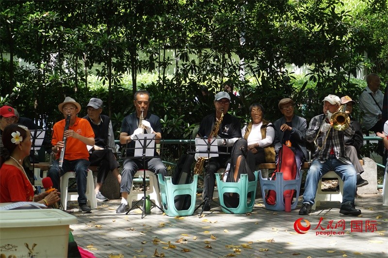 成都居民在公園里演奏歌曲。人民網(wǎng) 王禹蘅攝