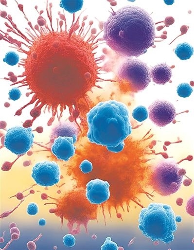 用氯化鈉處理的高活性CD8 T細(xì)胞（紫色），與未經(jīng)處理的細(xì)胞（藍(lán)色）相比，其抗腫瘤能力更強(qiáng)，能夠顯著損傷腫瘤細(xì)胞（紅色）。圖片來源：德國耶拿弗里德里?！は沾髮W(xué)