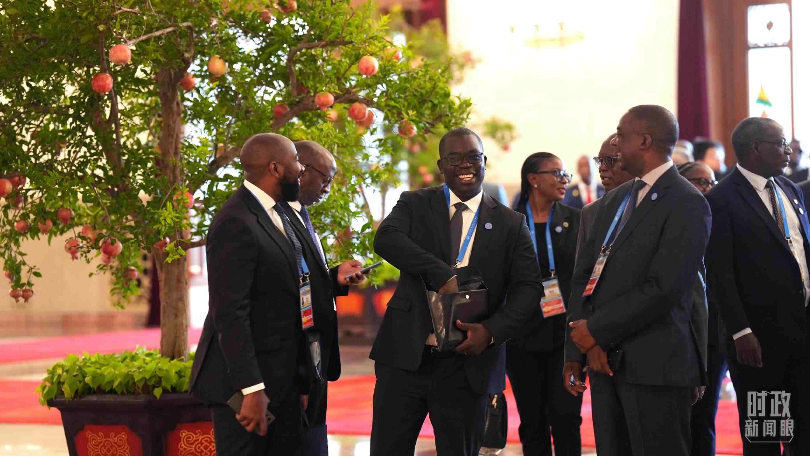 出席中非合作論壇北京峰會的非洲國家代表。（總臺記者李晉拍攝）