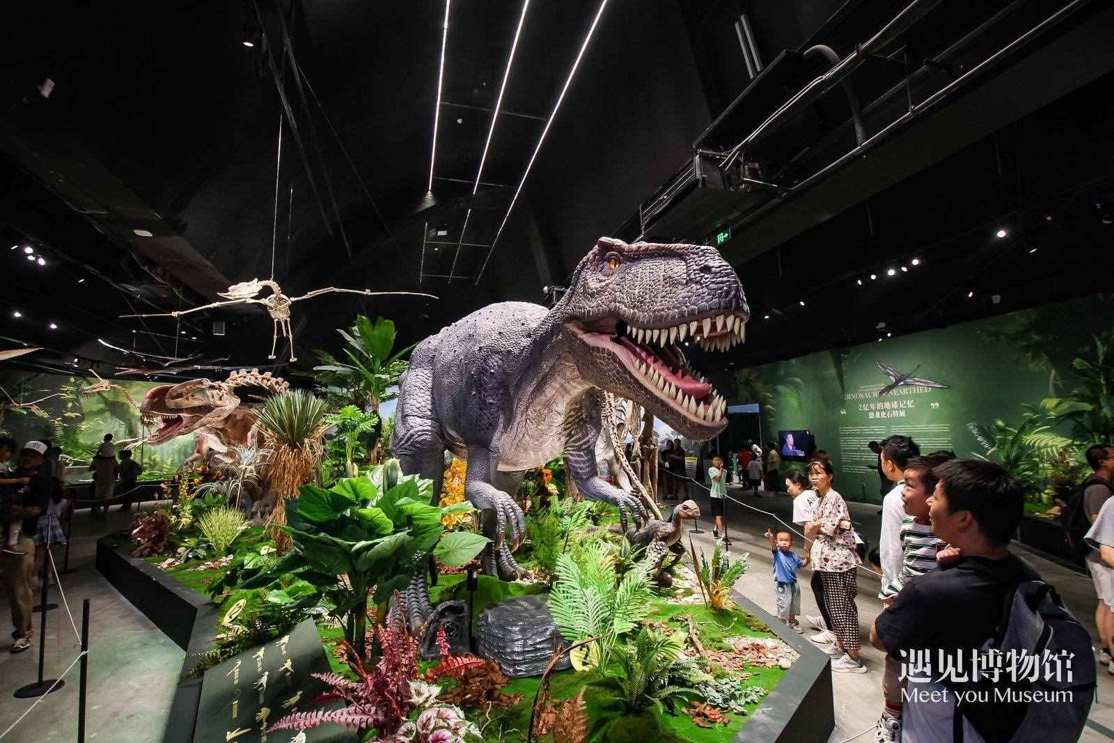 2. 游客參觀“2億年的地球記憶——恐龍化石特展”。遇見博物館供圖