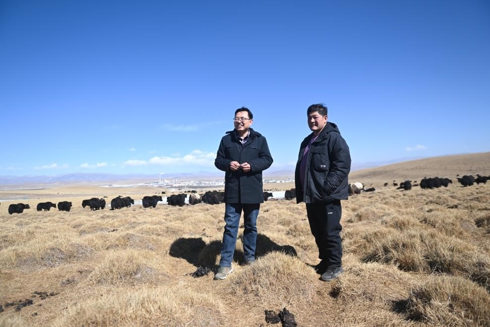 2023年2月24日，在青海省海北藏族自治州海晏縣青海湖鄉(xiāng)達玉日秀村，全國人大代表董全民（左）查看牧民東知布家的草場。新華社記者 張龍 攝