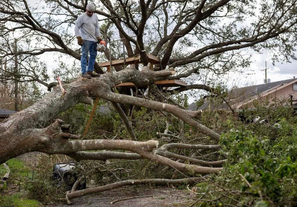 2021年8月30日，在美國(guó)路易斯安那州霍馬，一名男子站在被颶風(fēng)吹倒的大樹(shù)上。新華社發(fā)（尼克·瓦格納 攝）