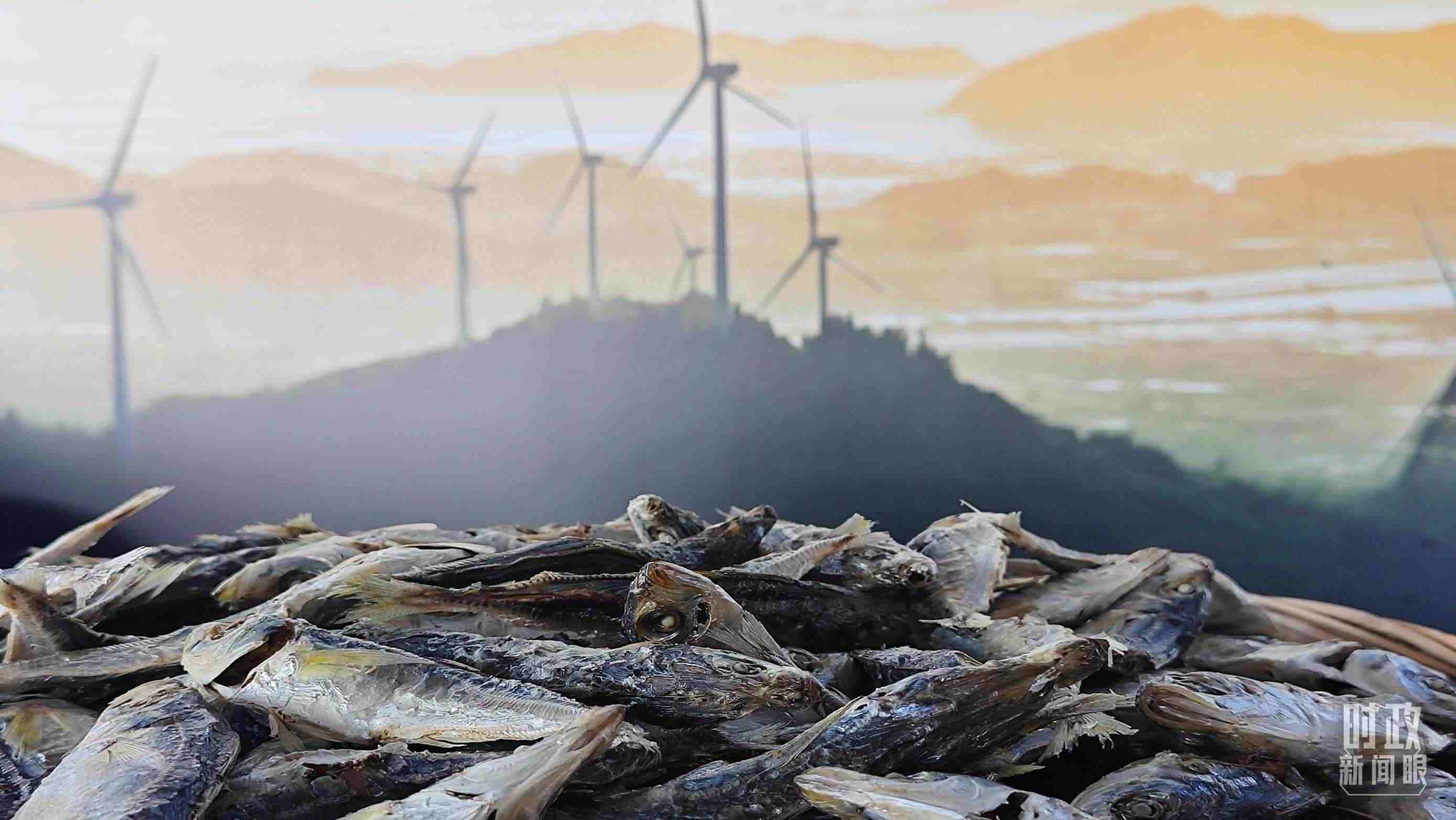 △澳角村的海產(chǎn)品。（總臺央視記者許永松拍攝）