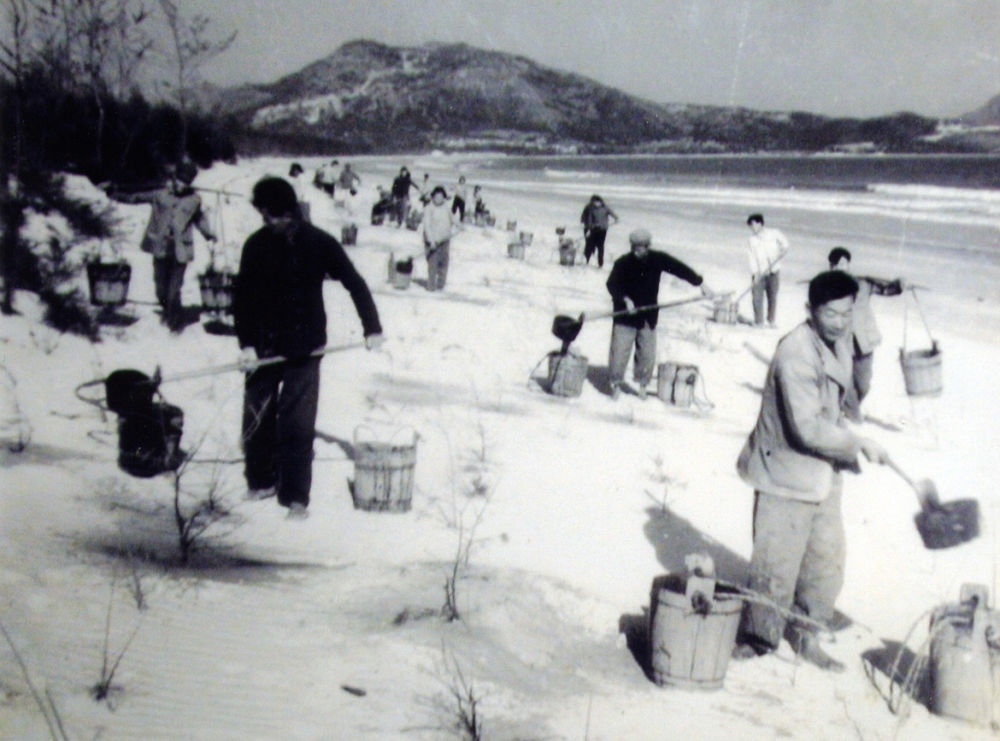 上世紀(jì)東山百姓在沙灘造林（資料照片）。