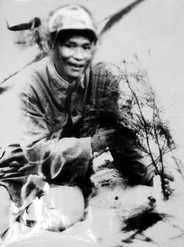 谷文昌與試種成活的木麻黃（資料照片）。為了治沙，谷文昌爬遍了東山縣400多個(gè)山頭，踏遍了30多公里的沙灘，終于帶領(lǐng)東山人民試種木麻黃成功。