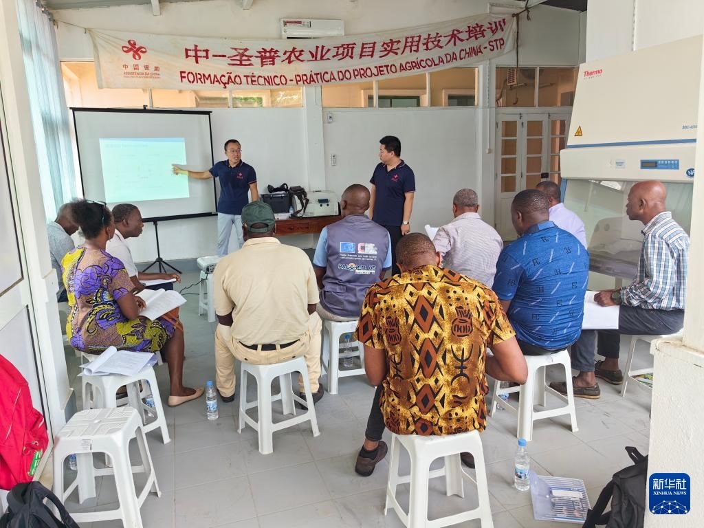 中國援圣普農(nóng)牧業(yè)技術項目組專家段振華（后左）在圣多美和普林西比的國家獸醫(yī)實驗室開展動物疫病監(jiān)測技術培訓（2024年6月21日攝）。新華社發(fā)（中國援圣普農(nóng)技組供圖）