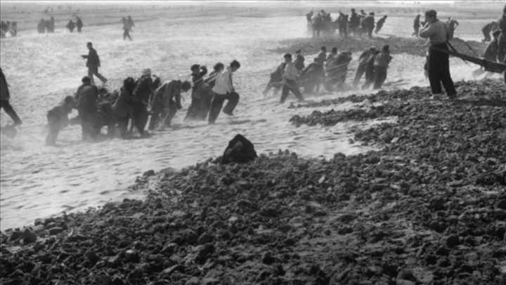 蘭考群眾在拉淤土壓沙。（新華社記者 鄧歷耕 攝）