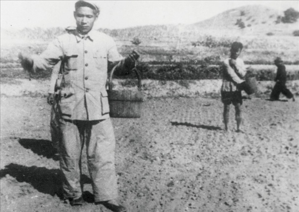 △ 谷文昌在福建省東山縣坑北村參加播種。