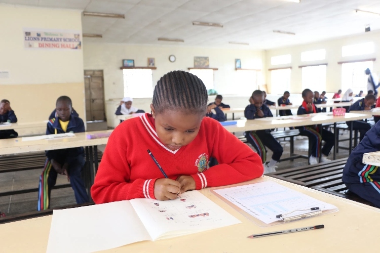 考場(chǎng)現(xiàn)場(chǎng)。埃格頓大學(xué)孔子學(xué)院供圖