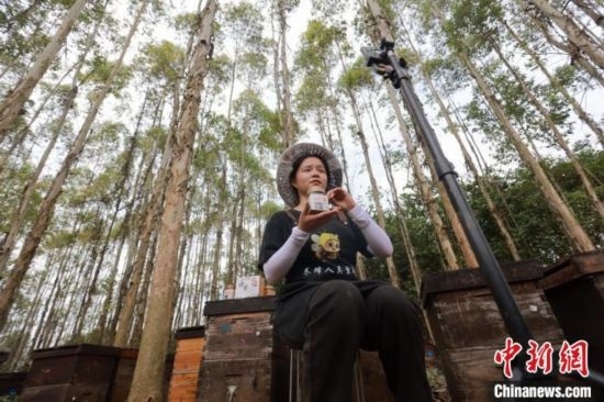 吳素英在網(wǎng)絡平臺直播介紹蜜蜂和養(yǎng)蜂情況。湯曉逵 攝