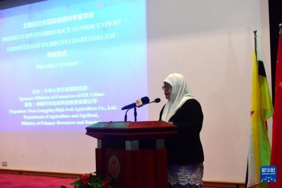10月26日，文萊初級(jí)資源與旅游部常任秘書(shū)圖蒂亞蒂在斯里巴加灣市出席中國(guó)與文萊雜交水稻高級(jí)專(zhuān)家顧問(wèn)項(xiàng)目啟動(dòng)儀式。新華社記者 李萌 攝