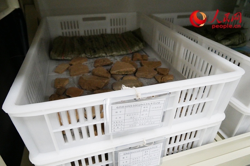 已經(jīng)整理完畢的文物標(biāo)本。人民網(wǎng)記者 韋衍行攝