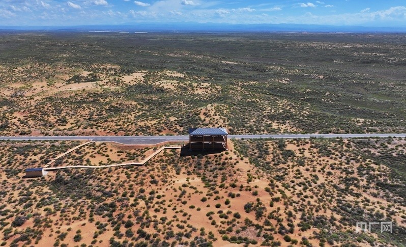 古浪縣一代代人治沙不息，讓綠色向沙漠深處不斷延伸（央廣網(wǎng)記者 李紅軍 攝）