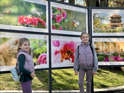 活動現(xiàn)場。中國駐保加利亞大使館供圖。