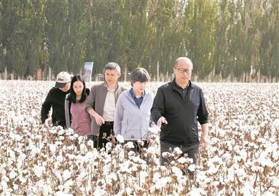 李召虎團隊成員在棉田了解試驗情況。 受訪單位供圖