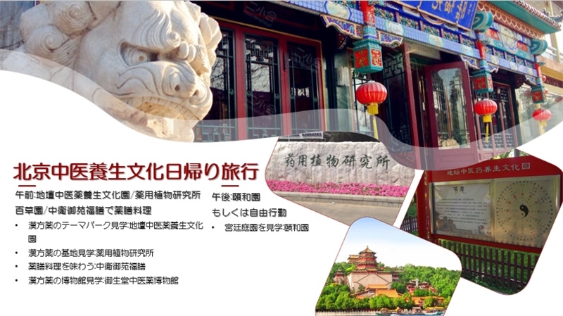 “你好！中國·休閑旅游—中國旅游說明會”宣講材料。中國駐東京旅游辦事處供圖