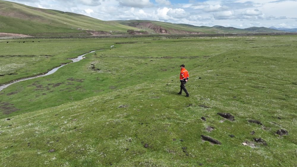 9月24日，生態(tài)管護員那瓦才郎在草場上巡護。（受訪者供圖）