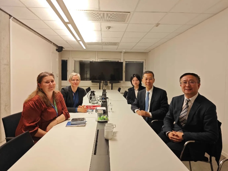 中國駐瑞典大使崔愛民會見瑞典聯(lián)合國教科文組織全國委員會秘書長。中國駐瑞典大使館供圖