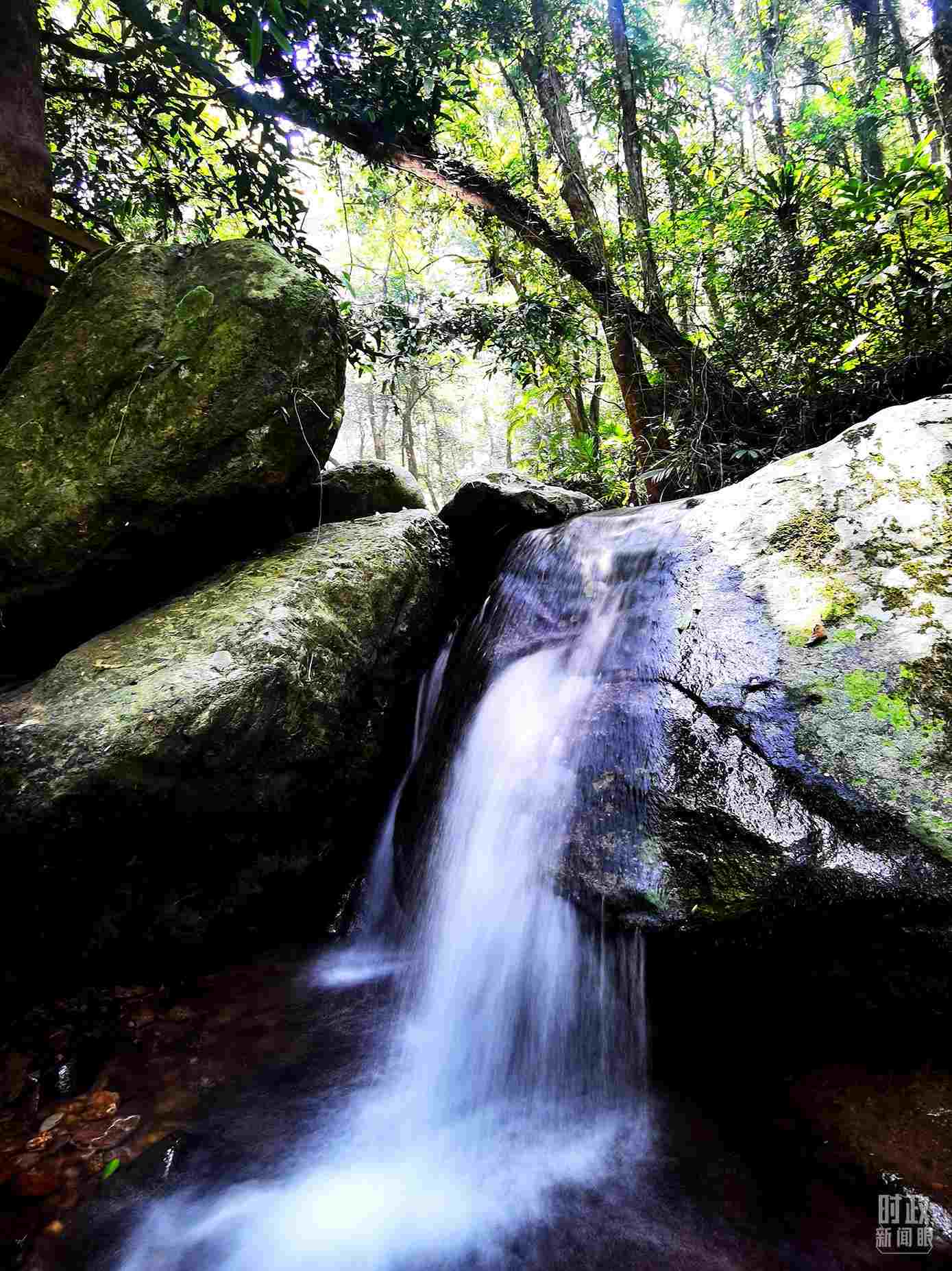海南五指山。（總臺央視記者劉琦拍攝）