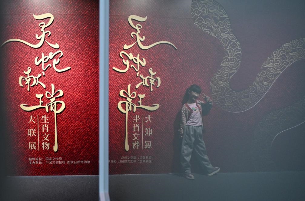 1月18日，一名小朋友在國(guó)家自然博物館舉辦的“靈蛇獻(xiàn)瑞——2025乙巳蛇年生肖文物大聯(lián)展”展覽中拍照留念。（新華社記者 陳鐘昊 攝）