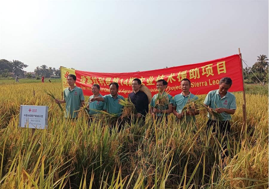 中國駐塞拉利昂大使王擎和援塞農(nóng)業(yè)專家組合影。中國援塞農(nóng)業(yè)專家組供圖