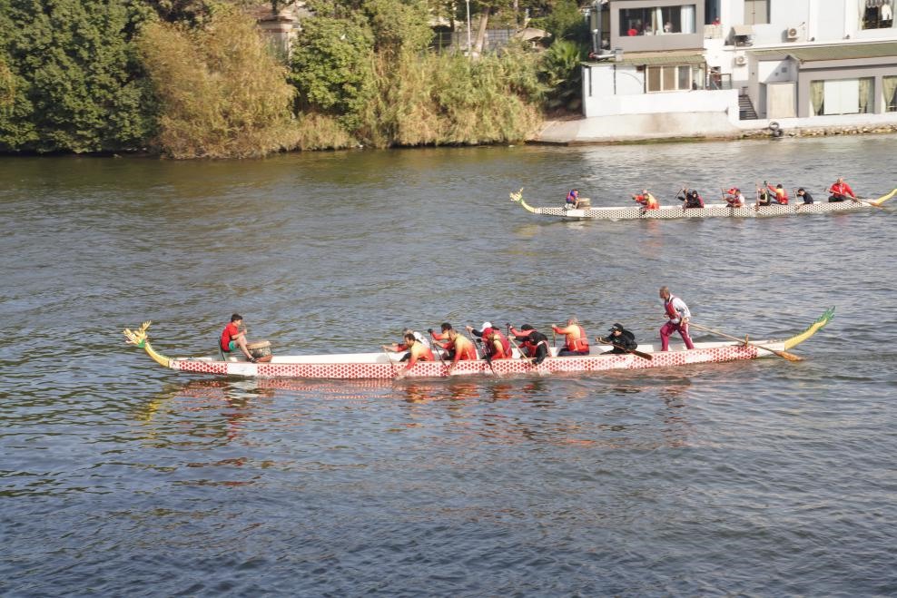 活動現(xiàn)場龍舟競技，共慶春節(jié)。開羅中國文化中心供圖