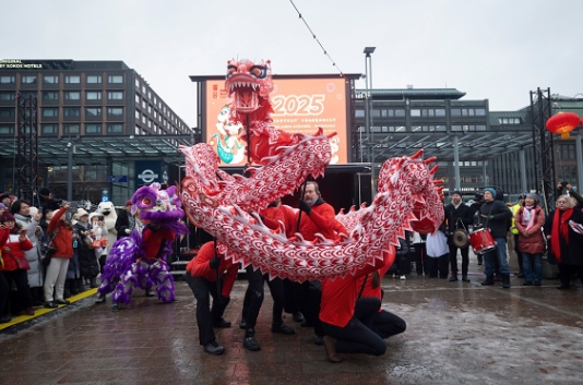 舞龍、舞獅表演。中國(guó)駐芬蘭大使館供圖