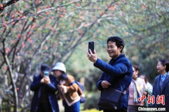 成都：海棠花開引游人
