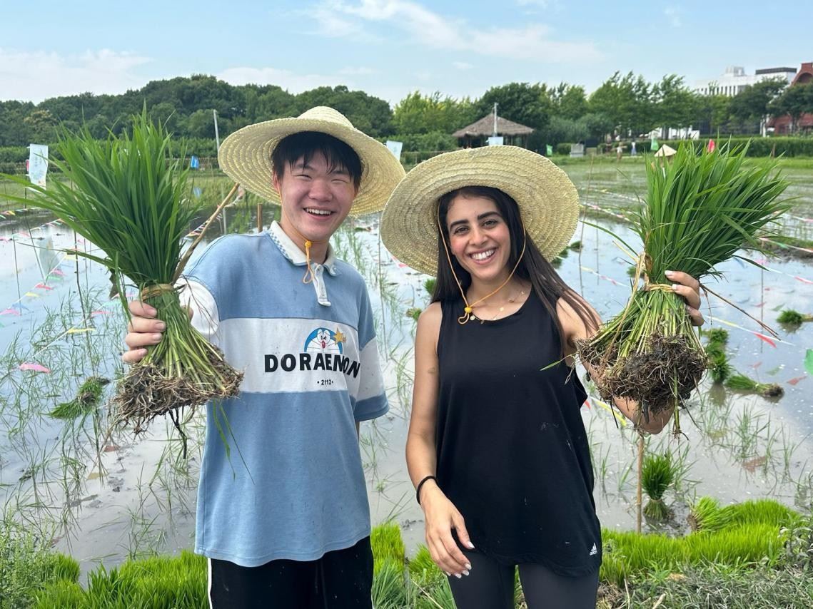 卡友琪在插秧。受訪者供圖