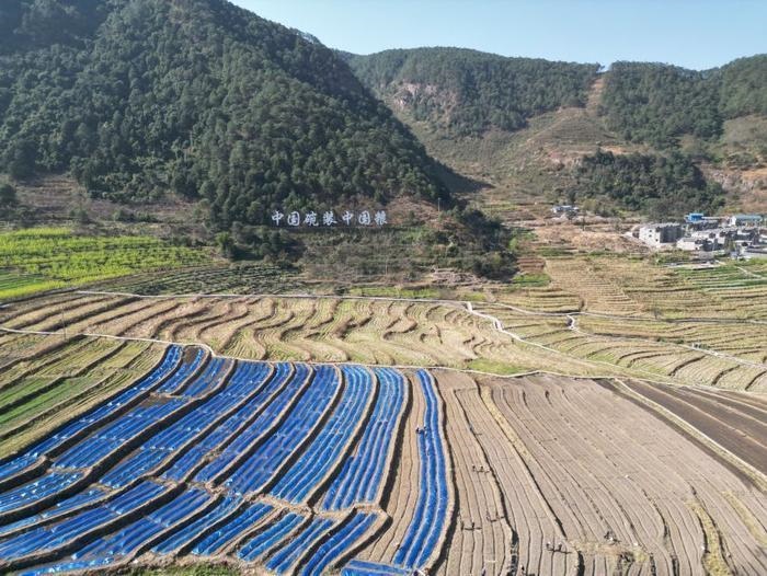 △近日，四川涼山一現(xiàn)代農(nóng)業(yè)園春耕育秧搶農(nóng)時。